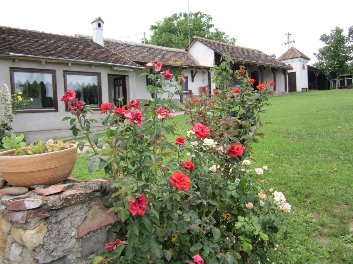 Guest House Vila Albedo Varna Exteriér fotografie