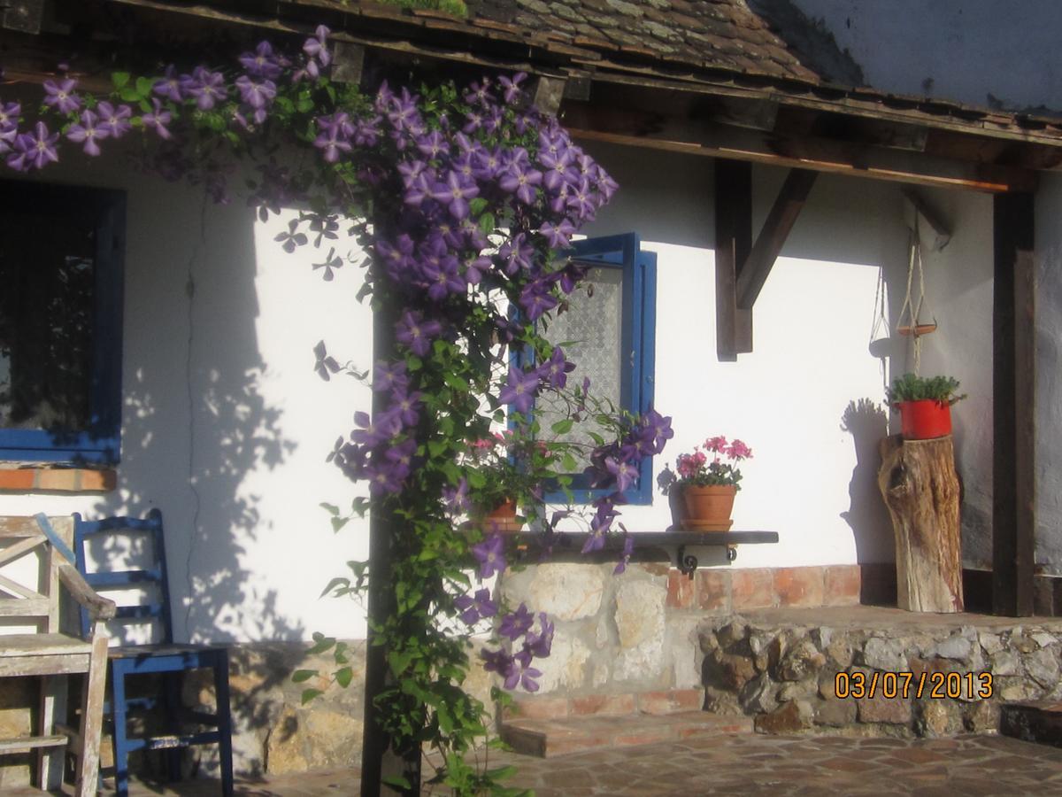 Guest House Vila Albedo Varna Exteriér fotografie